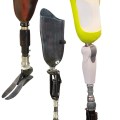 artificial limbs under the white background